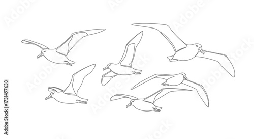 Birds in Flight, Wildlife, Open Sky, Illustration, Natural Environment, Aerial View, Freedom Concept