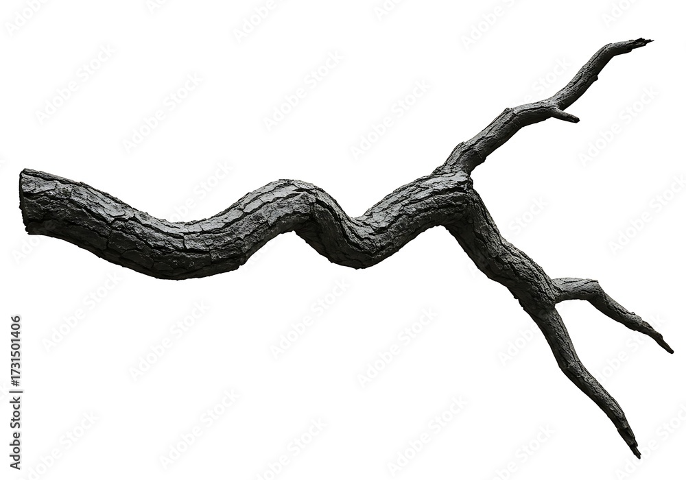 Obraz premium Twisted tree branch isolated