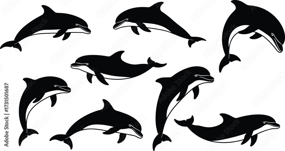 Naklejka premium Dolphin silhouette vector illustration, jumping dolphin artwork, marine animal design, ocean wildlife drawing, aquatic mammal collection, sea dolphin outline illustration