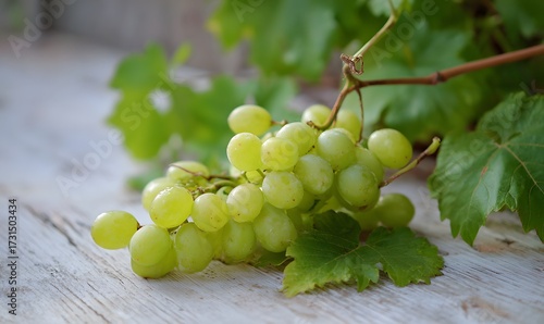 Some grapes are in the picture, some fall on the ground