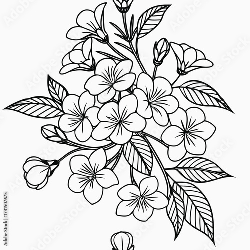Vector art of elegant plumeria flower arrangement for coloring book
