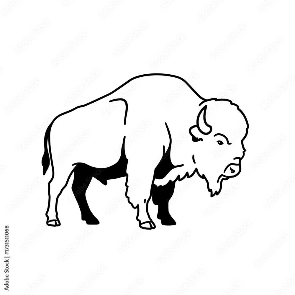 Fototapeta premium American Bison Line Art: Majestic Profile View