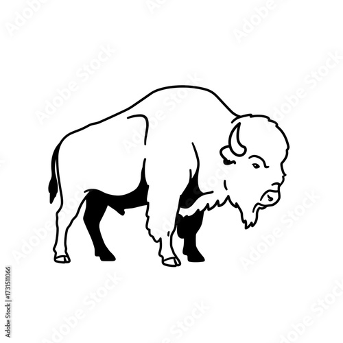 American Bison Line Art: Majestic Profile View