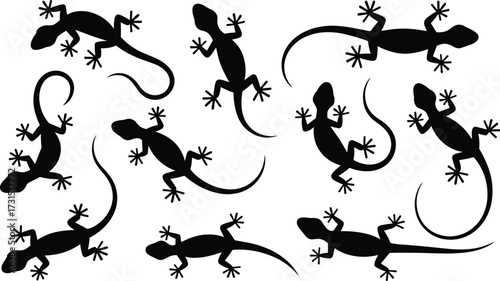 Gecko lizard silhouette vector collection, reptile illustration design, black animal outline, exotic crawling gecko artwork, nature reptile drawing, wildlife icons set