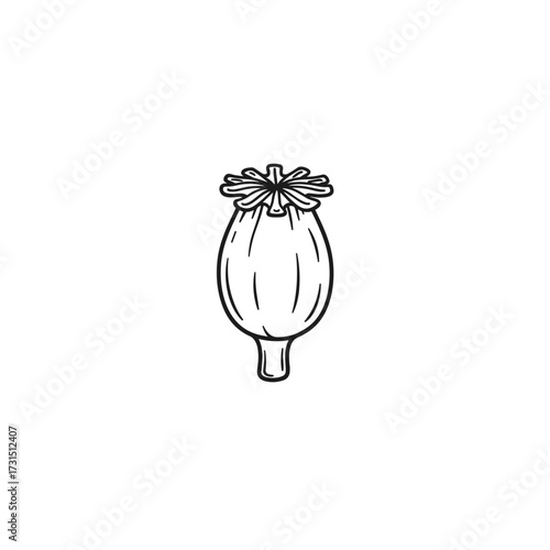 Detailed Line Art of a Poppy Seed Pod with Distinctive Crown