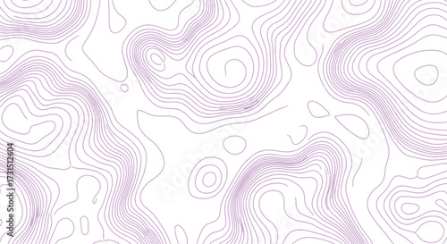 Abstract Topographic Map A Detailed and Artistic Representation of Elevation Contours