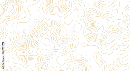 Abstract topographic map, beige lines on a white background, seamless design with an organic texture