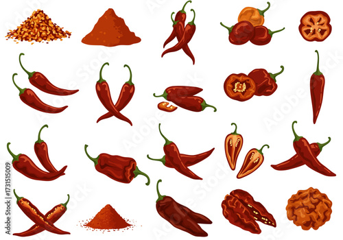 Assortment of red chili peppers and related products like chili powder and flakes on a white background