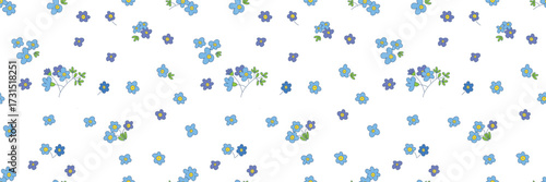 Seamless forget-me-not floral pattern on white background