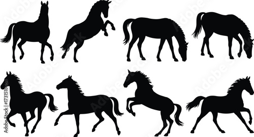 Horse silhouettes, black vector horses, grazing, rearing, walking, standing poses, animal illustration, equine design, farm art, graceful movement, anatomy reference