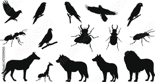 Wild animals and birds silhouette vector illustration including lions, wolves, parrots, pigeons, ants, beetles, nature wildlife collection