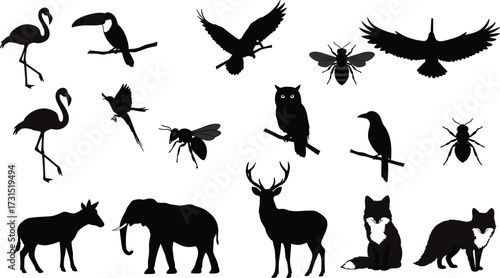 Wild animal and bird silhouettes including flamingo, toucan, owl, crow, elephant, deer, fox, bee, insect vector illustration