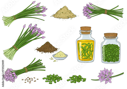 Vector art shows chives oil  powder