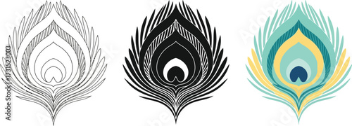 Set of peacock feather illustrations in line art black and white and color vector design element for print and web