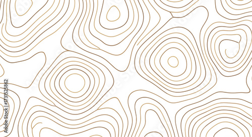 Abstract topographic map illustration with concentric contour lines, representing elevation changes.