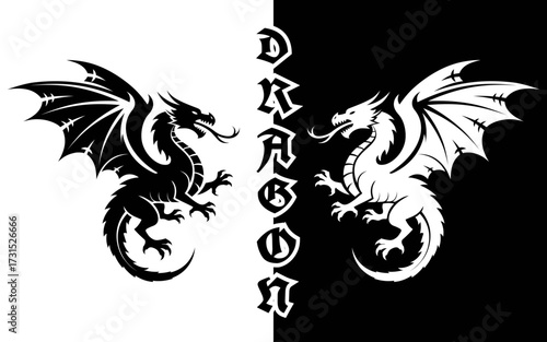 Dragon Logo | Dragon Vector Illustration
