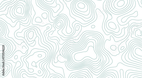 Abstract seamless topographic map with contour lines. A wide vector illustration background representing geographic elevation and terrain