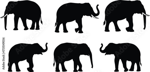 Silhouette elephants collection, wildlife animal illustration, African safari art, elephant trunk poses, tusk design, nature conservation, exotic mammal artwork, vector