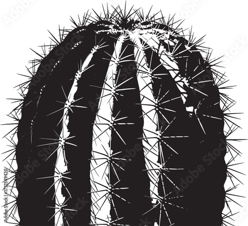 barrel cactus top Close up black and white photograph