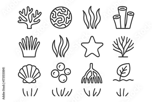 Coral Reef Icons. Coral reef plants. Line outline icon set of coral reef plants: branching coral, brain coral,