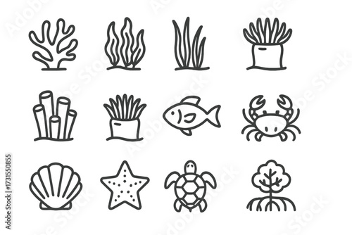 Aquatic Icons Grid. Aquatic biodiversity. Line outline icon set of aquatic biodiversity: coral, kelp, seagrass