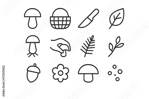 Mushroom Picking Icons. Mushroom picking. Line outline icon set of mushroom picking: mushroom, basket, knife,