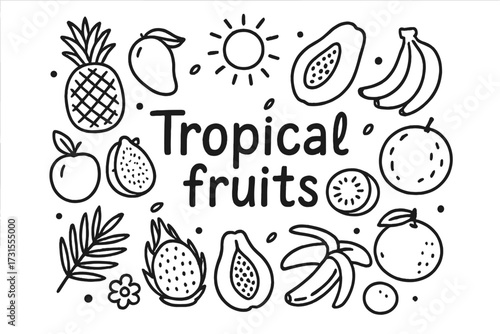 Tropical Fruit Doodle. Tropical fruits. Hand-drawn doodle illustration of Tropical fruits. Pineapple, mango,