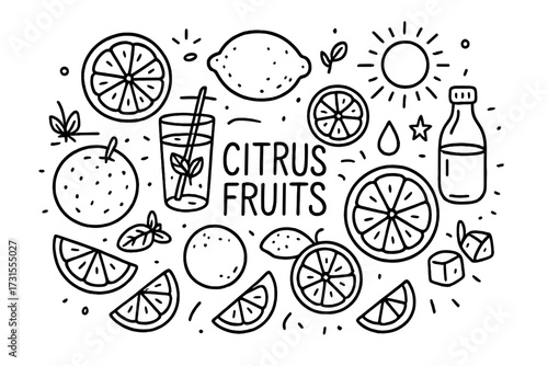 Citrus Doodle Art. Citrus fruits. Hand-drawn doodle illustration of Citrus fruits. Orange slice, lemon, lime,