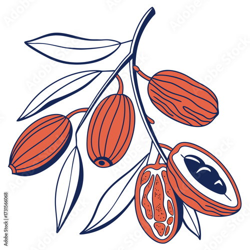 Stylized Vector Illustration of a Branch with Multiple Elongated Orange Fruits and Greenish Blue Leaves Including a Halved Fruit Revealing Seeds and Inner Flesh  Modern Botanical Food Art Design