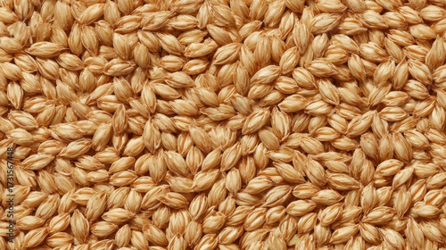 Seamless background texture of golden wheat grains close-up