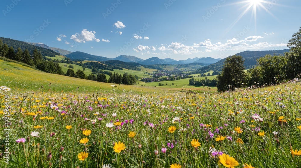 Fototapeta premium Scenic Landscape with Vibrant Flowers, Mountains, and Blue Sky in a Rural Countryside Setting