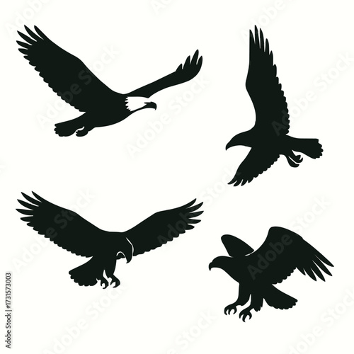 Bald Eagle Bird Silhouette Vector Set in Flight and Swooping Poses