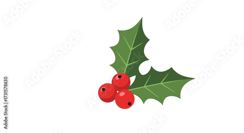 A festive sprig of holly with bright red berries and green leaves.