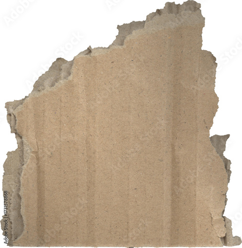 Torn Cardboard Texture Background – Wrinkled & Grunge Paper Surface