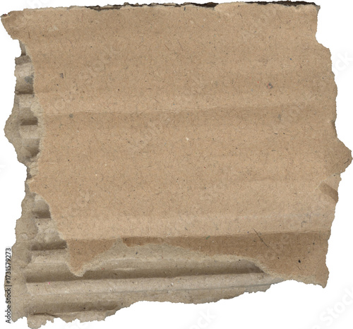 Torn Cardboard Texture Background – Wrinkled & Grunge Paper Surface