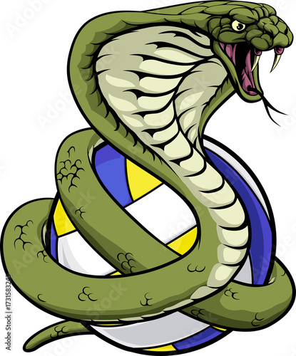Cobra Snake Volleyball Ball...