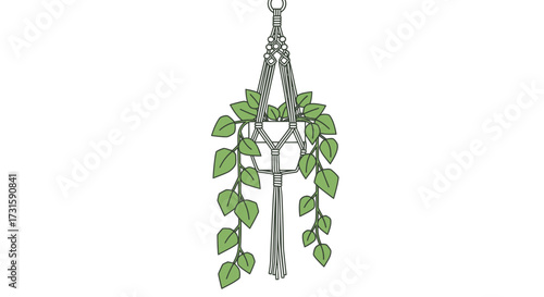 A simple flat vector illustration of a grey macrame plant hanger holding a lush green trailing plant against a white background.