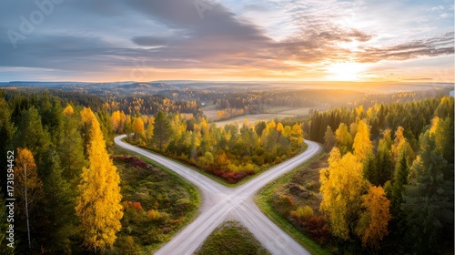 Forked country road through autumn forest during golden hour, symbolizing choices and journeys. 