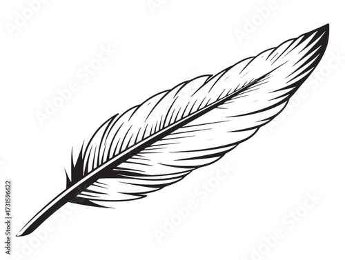Feather drifts gently across still morning