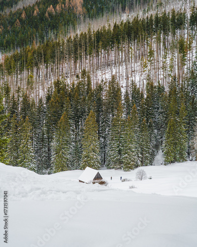 Winter Cabin in Snowy Forest, Tatra Mountains, Poland