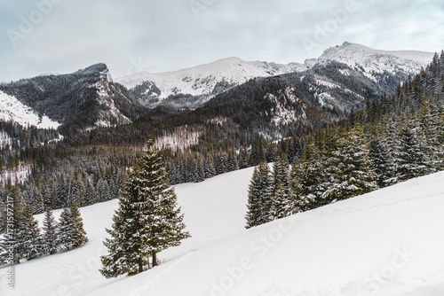Tatra Mountains, Poland. Panorama of a mountain landscape. Winter in the mountains	
