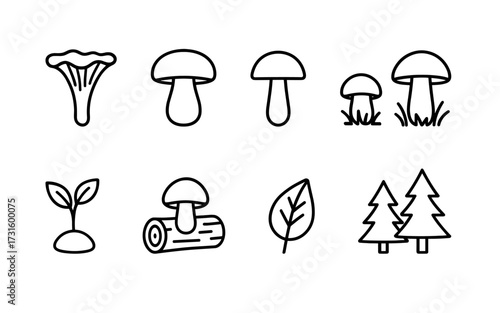Set of ten outline icons related to mushroom picking. Black linear vector illustrations of mushrooms, baskets, knife, leaves, and grass in hand-drawn minimal style.