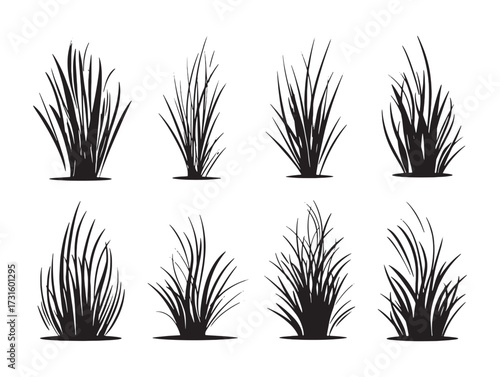 Grass Growing Naturally In Morning Sunlight