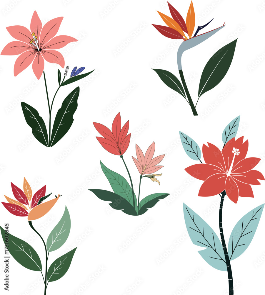 Obraz premium Floral Illustration with Tropical Flowers