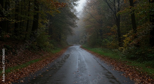 Road winding through autumnal forest shrouded in fog with trees alongside and foliage on the ground
