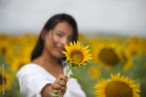 Fotografie A beautiful mulatto Latin woman wearing a white shirt holds a sunflower up to the camera