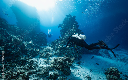 Wallpaper Mural diver exploring the crystal clear water of the Red Sea in Egypt Torontodigital.ca