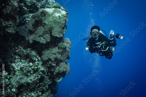 Wallpaper Mural diver exploring the crystal clear water of the Red Sea in Egypt Torontodigital.ca