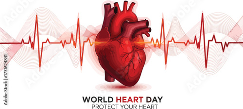 A vibrant illustration of a human heart with a pulsing electrocardiogram waveform, symbolizing health and awareness for World Heart Day.