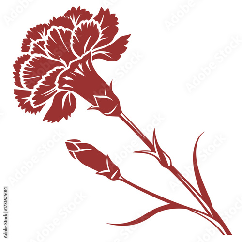 red carnation vector